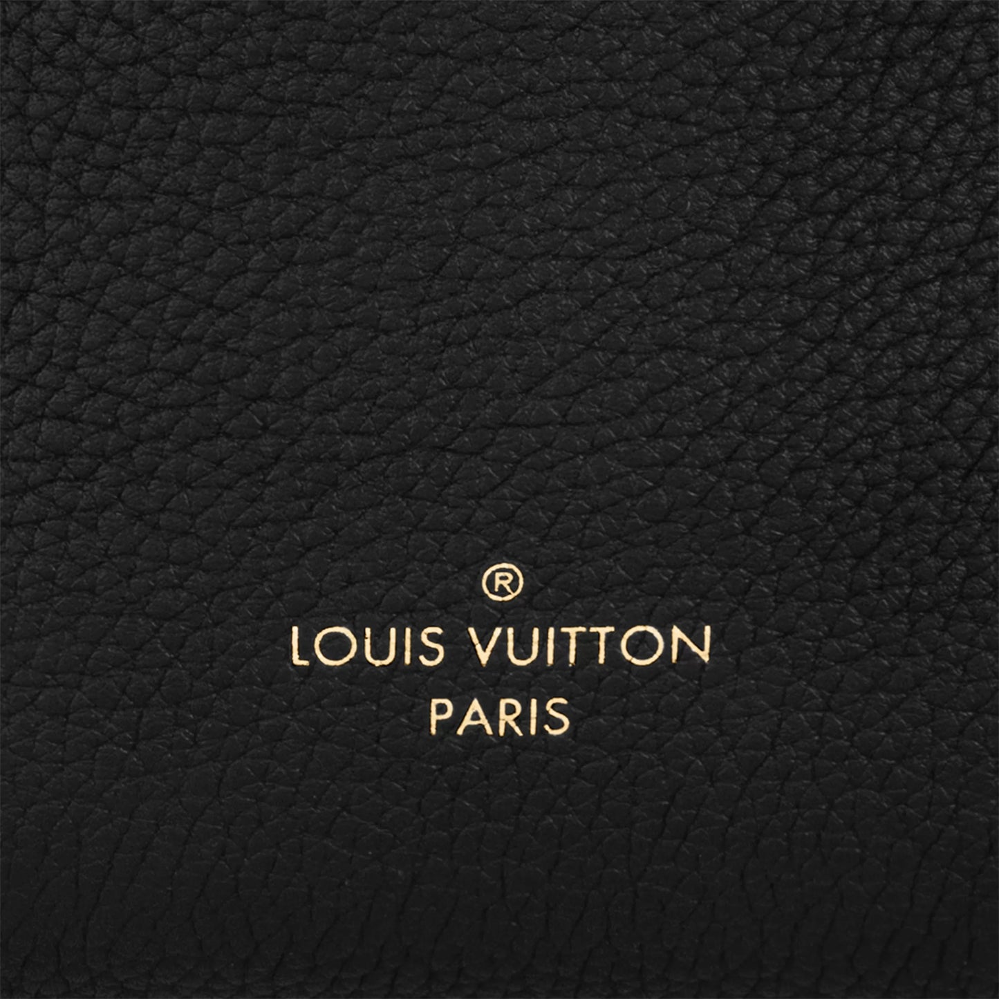 Louis Vuitton M23817 Side Trunk PM Black