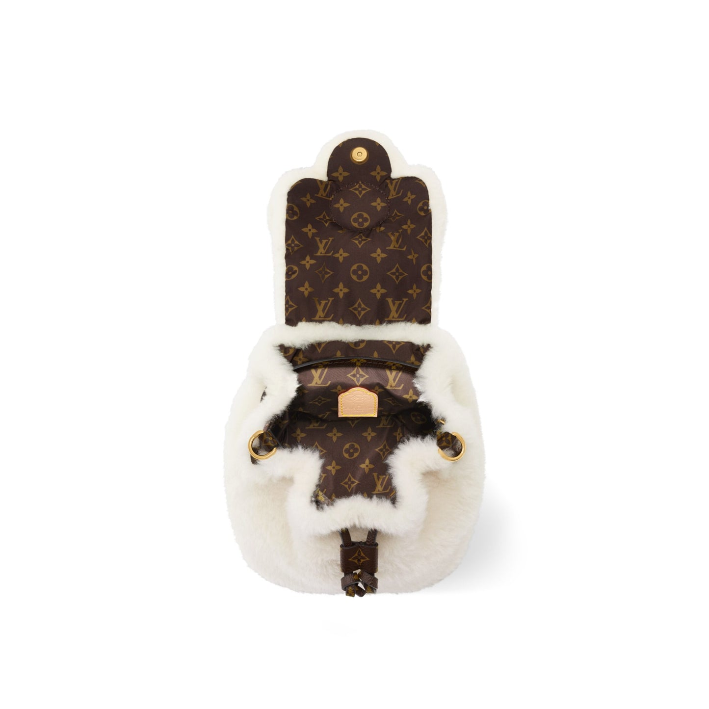 Louis Vuitton M26246 Viv-ified Backpack